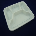 Disposable fast food container